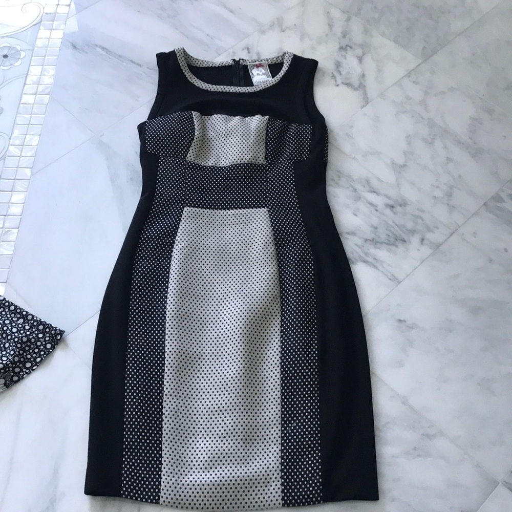 Yoana Baraschi dress